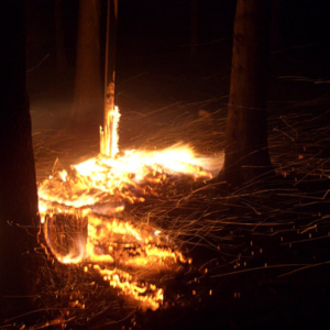 brand Kopie